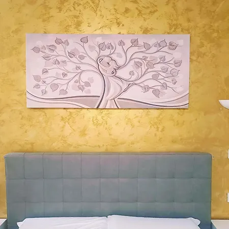 Tms Guest house